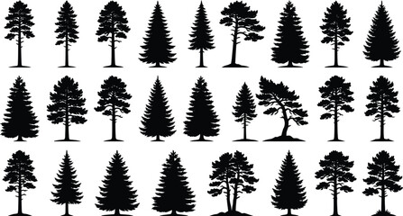 Pine tree silhouettes set for forest landscapes on transparent background, detailed evergreen vector illustration. © jim's Cafe