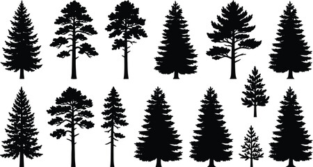 Set of various pine and evergreen tree silhouettes, black vector illustration on transparent background. © jim's Cafe