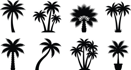 Fototapeta premium Collection of black palm tree silhouettes isolated on transparent background, tropical vector illustration.