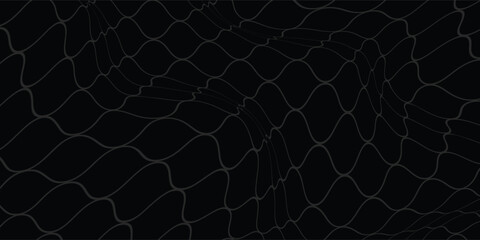 Fishing or soccer net. Repeated hexagon pattern. Black wired mesh texture isolated on white background.ilustrasion modern. © fannan