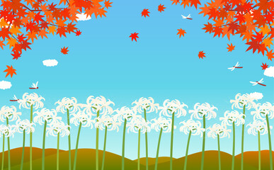 白い彼岸花と秋の紅葉の背景イラスト1_横 © Peco