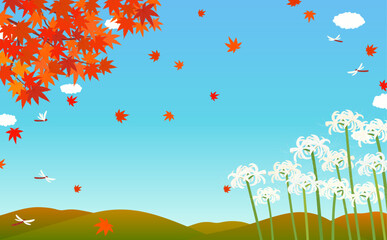白い彼岸花と秋の紅葉の背景イラスト2_横 © Peco