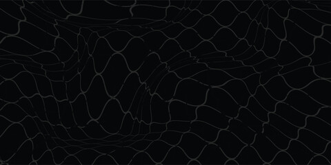 Fishing or soccer net. Repeated hexagon pattern. Black wired mesh texture isolated on white background.ilustrasion modern. © fannan