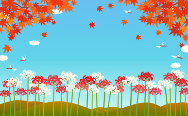 赤と白の彼岸花と秋の紅葉の背景イラスト1_横 © Peco