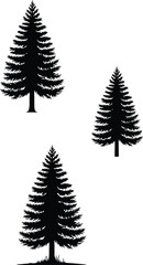 Fototapeta premium Black pine tree silhouettes against white background minimalist
