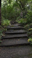 Obraz premium Wide damp stone stairs ascending through a dense green tropical forest with fallen leaves