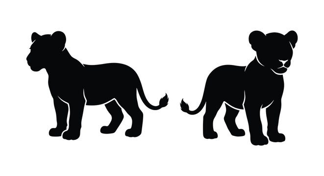 Two african lion silhouettes stand in profile against a white background showcasing feline form silhouette lions felines mammal