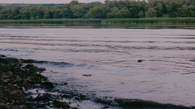 landscape from Moldova