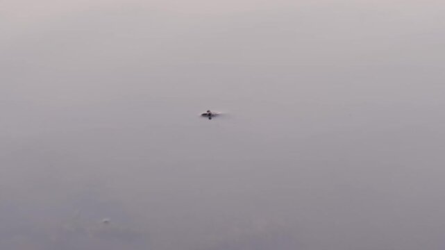 landscape from Moldova