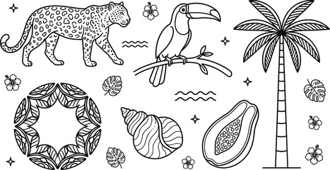 Tropical jungle safari vector line art icon set featuring leopard toucan palm tree papaya fruit and seashell © Sabbir Studio