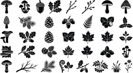 Black and white forest leaves, mushrooms, acorns, and branches © GT Designs