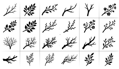 Botanical branch icon set featuring leaf, twig, and floral silhouette elements in black brush style © Md