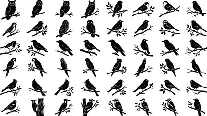 Collection of black bird silhouettes perched on branches and tree trunk © GT Designs