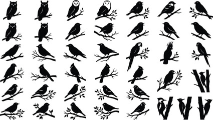 Collection of black bird silhouettes perched on branches and tree trunks © GT Designs