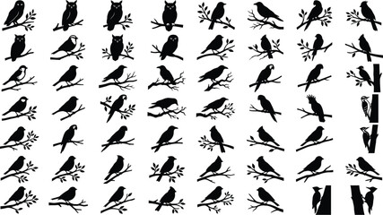 Collection of black bird silhouettes perched on branches and tree trunks © GT Designs