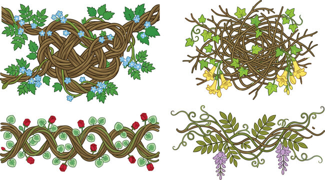 Decorative Twisted Vine Border Collection Vector Set with Floral Branches, Entangled Twigs, Leaves, Berries, and Botanical Ornament Elements