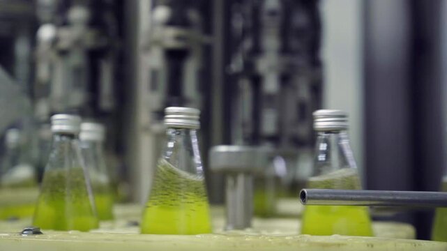 Industrial automated juice bottling and capping process in plant