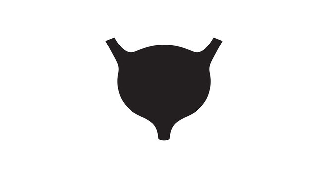 Bladder Shape In Black Silhouette anatomy biological