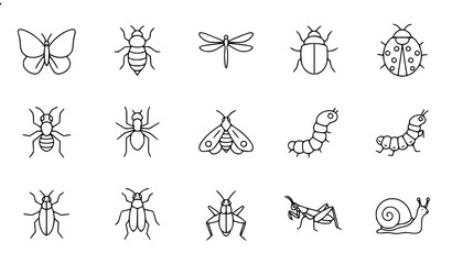 Simple Insect Line Icons Set Editable Stroke Nature Vector Collection © Nobab