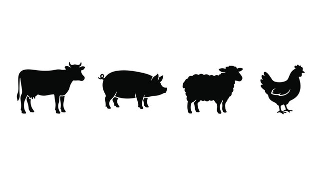 Farm animal silhouettes set of 4 vector icons, black livestock shapes including cow pig sheep and chicken, rustic agricultural branding elements