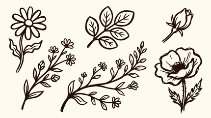 Fototapeta premium Hand drawn set in vintage outline illustration style of flowers and leaves