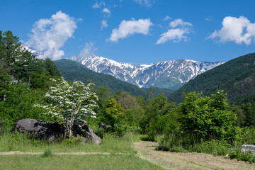 河川敷公園と残雪の北アルプス　長野県白馬村 © RATM