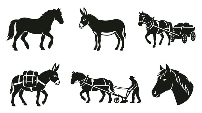 Vintage horse and donkey silhouette icons, rustic farm animal vector set, traditional working equine illustrations for agricultural branding