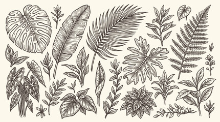 A sketch vector set of various tropical leaves and plants © Crushin