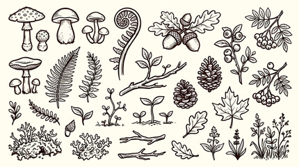 A sketch vector set of various plants and mushrooms in a forest environment © Crushin