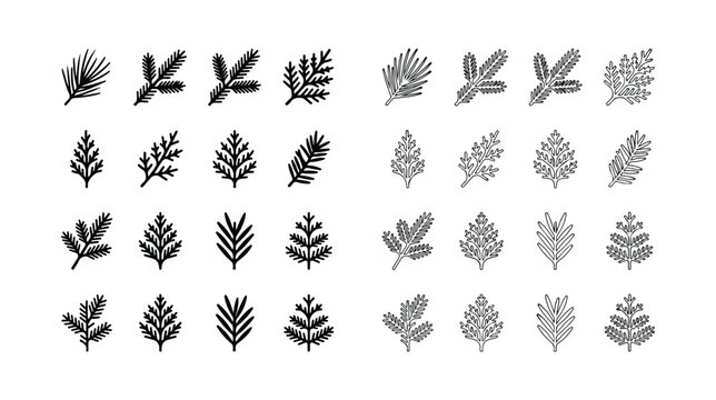 Minimalist evergreen branch icons, set of 32 pine and fir needle vector elements, black and grey coniferous foliage silhouettes for winter design