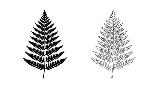 Minimalist fern leaf vector set, black silhouette and thin line art botanical fronds, elegant tropical foliage icons for logo design and branding