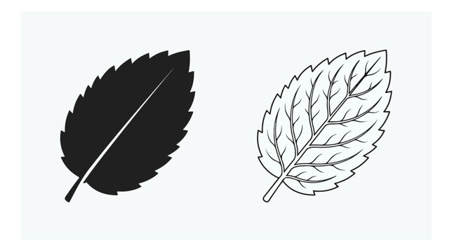 Minimalist mint leaf vector icons, black silhouette and line art peppermint foliage, organic herbal tea ingredients for healthy lifestyle branding