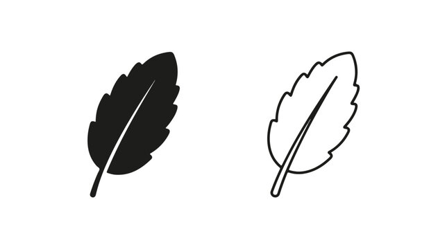 Minimalist mint leaf icons in solid and outline styles, fresh herbal foliage vector set, organic peppermint leaf symbols for tea and wellness branding