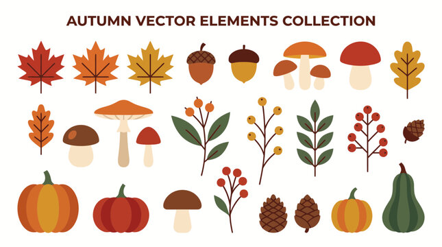 Flat Autumn Vector Elements Collection with Leaves and Pumpkins