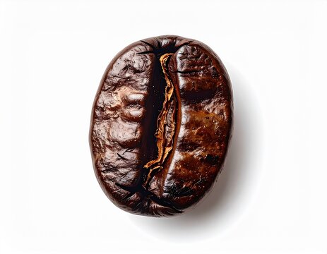 Macro view of single glossy roasted dark coffee bean isolated on white background
