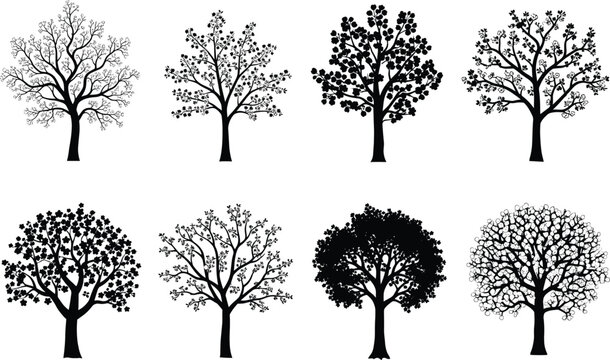 Black and white blooming spring tree vector silhouettes collection set of sakura floral icons isolated on white background for design