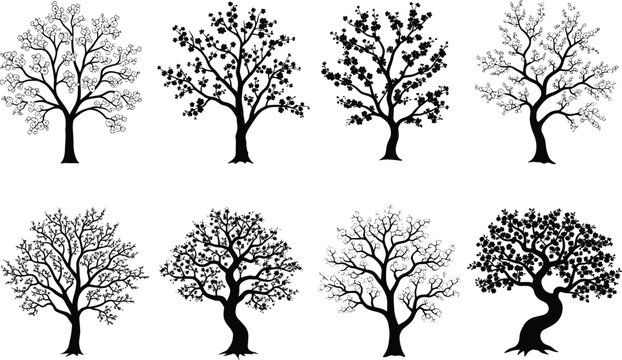 Collection of blooming cherry blossom tree vector silhouettes black and white sakura floral illustrations isolated on white background for graphic design