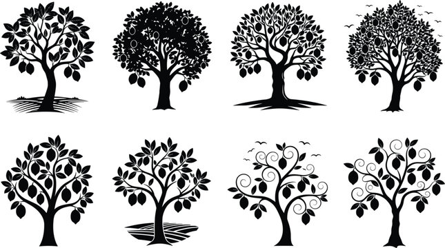 Set of lemon tree silhouettes with hanging citrus fruits black and white vector illustrations isolated on white background for graphic design