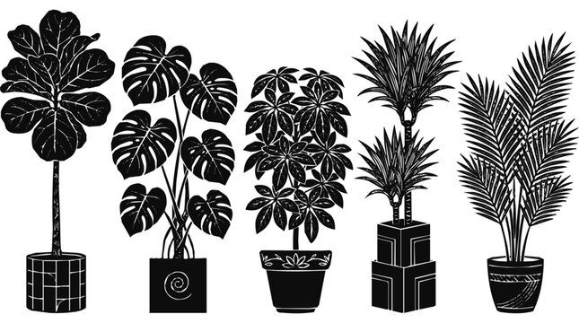 Set of stylized potted houseplants, vector illustration, silhouette plants