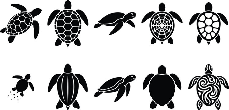 sea turtle black silhouettes vector icons set featuring different aquatic tortoises swimming crawling and showing tribal pattern isolated on white background
