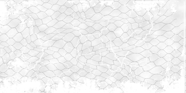 Black snake skin pattern isolated on white background eps 10