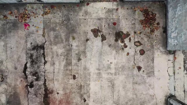 The worn concrete floor of an old, abandoned building. The cement surface reveals a rough texture, large cracks, dark moisture stains, and scattered remnants of flower petals and dried leaves.