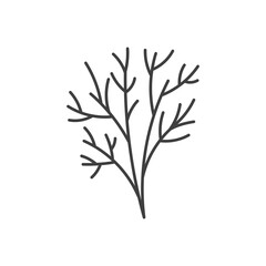 Fototapeta premium Fresh Dill Sprig Sketch Icon. Hand Drawn organic vector illustration of greenery branch with delicate feathery leaves and stems. Suitable for pickling recipes, Scandinavian cuisine, and farm-to-table 