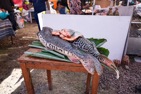 Two raw surubi or tiger catfish on green leaves on a wooden market table