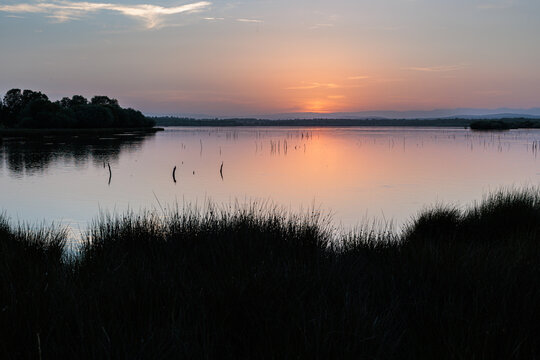 Vegetation and Valpara&iacute;so Reservoir at sunset, Villardeciervos, Zamora, Castile and Le&oacute;n, Spain.