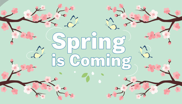 Beautiful spring banner featuring blooming cherry blossom branches and colorful butterflies with spring is coming text.