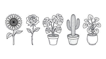 Variety of Potted Plants and Flowers. © Jarwo