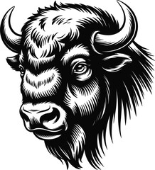 Fototapeta premium Bison head illustration with detailed linework against a white background conveying strength and wild nature