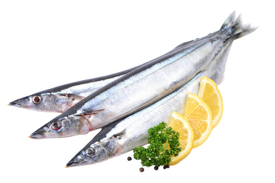Saury fish on white background