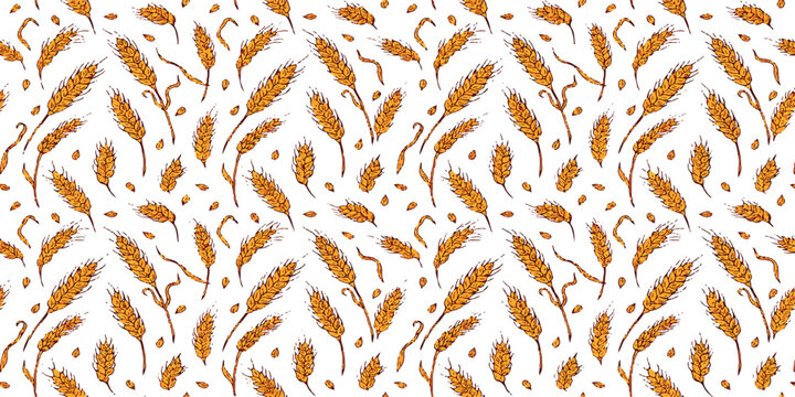 Seamless pattern with hand drawn golden wheat ears and grain stalks for harvest background design